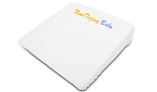 Nan Tezing Wedge Pillow