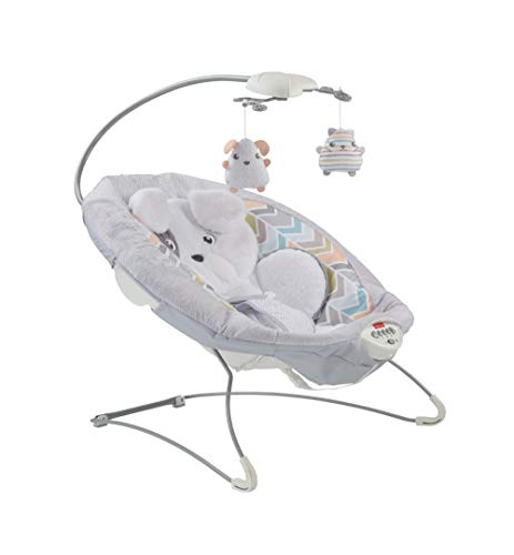 Image of Fisher-Price Deluxe Bouncer: Sweet Dreams Snugapuppy