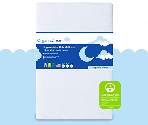 Organic Dream 5