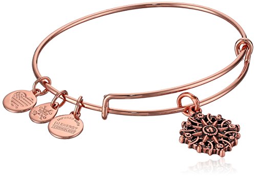 Alex and Ani Path of Symbols Expandable Bangle for Women, Compass Charm, Rafaelian Rose Gold Finish, 2 to 3.5 in