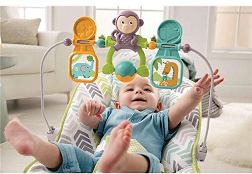 Fisher-Price Deluxe Bouncer: Green/Blue/Grey