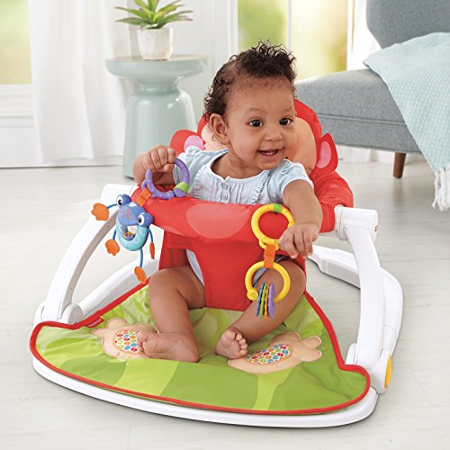 Image of the Fisher-Price Deluxe Sit-Me-Up Floor Seat