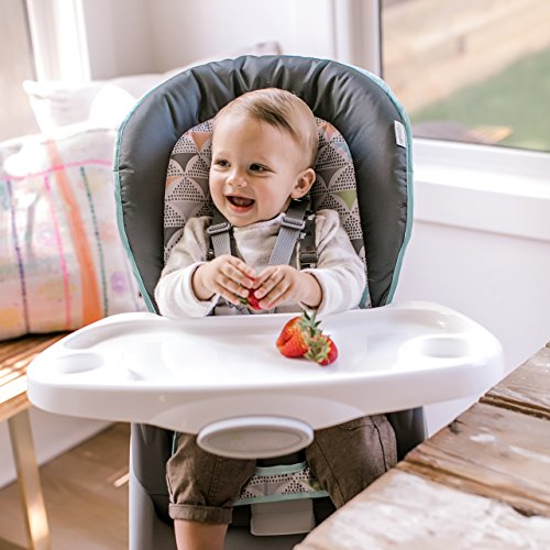 Ingenuity Trio 3-in-1 High Chair