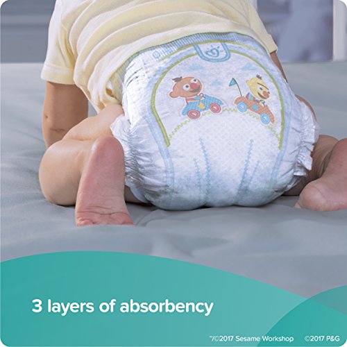 Image of the Pampers Baby Dry