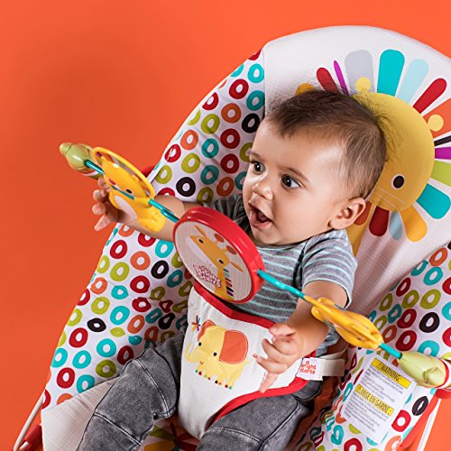 Bright Starts Playful Pinwheels Bouncer with Vibrating Seat