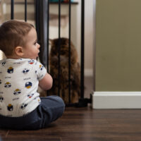 Baby Boy with Cat Sitting at Baby Safety Gate