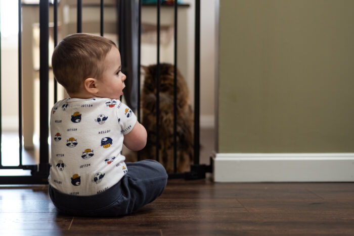 Baby Boy with Cat Sitting at Baby Safety Gate