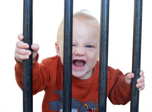 Baby boy growling behind bars