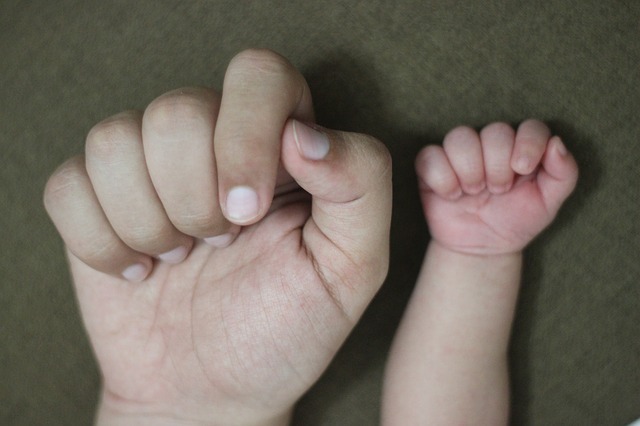 image of the hand of a parent and a child