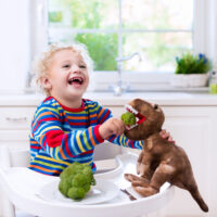 boy sitting in high chair feeding broccoli to toy dinosaur