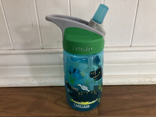 camelbak kids water bottle