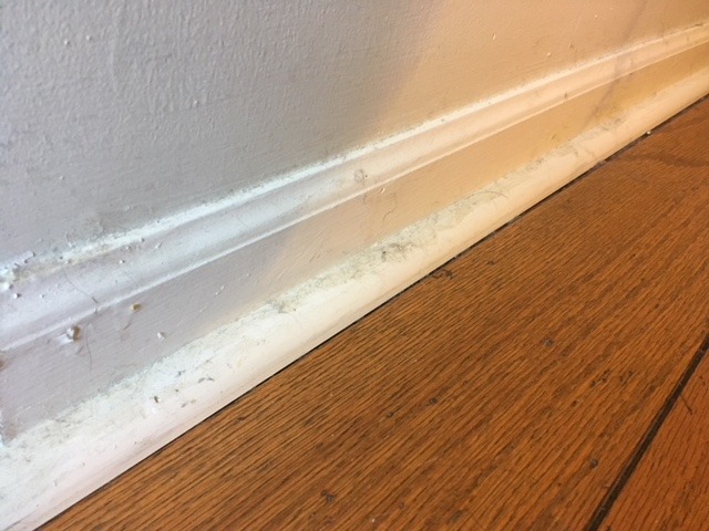 Dirty baseboard by wood floor