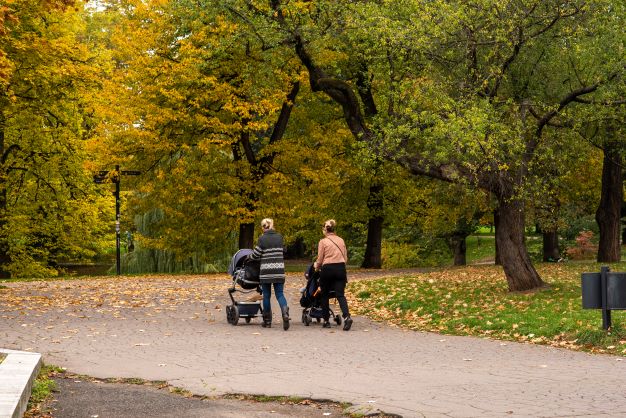 Two mom's taking their babies for a walk in their strollers in the park