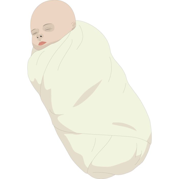 A swaddled baby.
