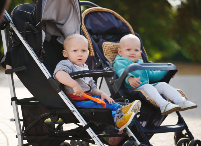 Two toddlers in stroller side by side
